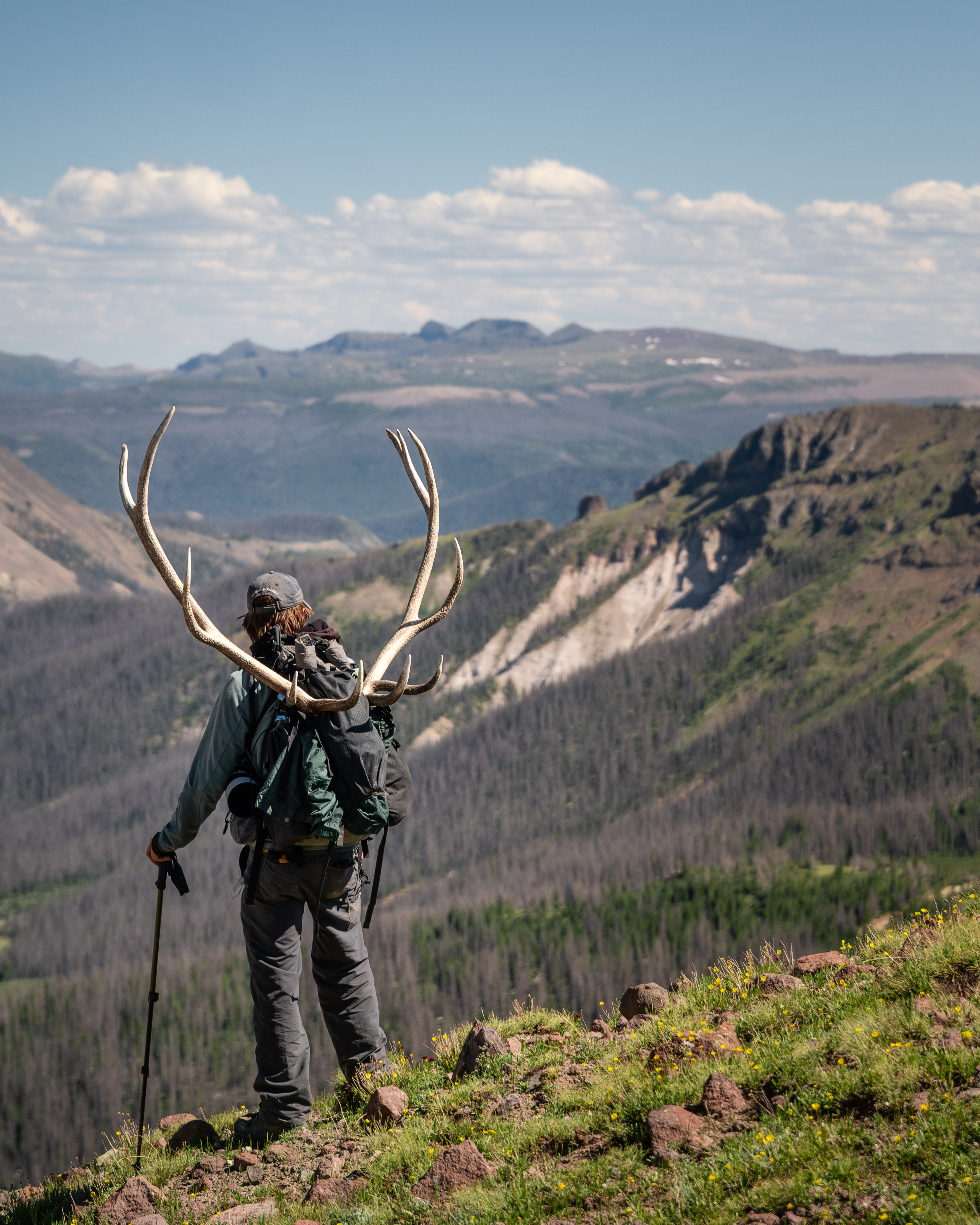Man Utilizing Breakaway Function Of A Seek Outside Backpack to Haul out An Elk Skull